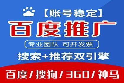 某电商平台信息流广告的精准推广策略